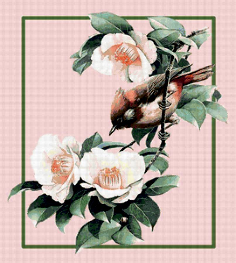 птица на цветущей ветке - птица - предпросмотр