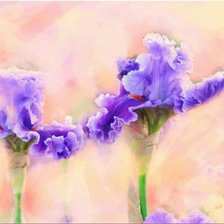 Схема вышивки «№170785»