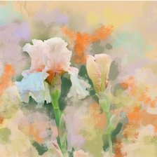 Схема вышивки «№170790»