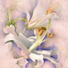 Схема вышивки «№170794»