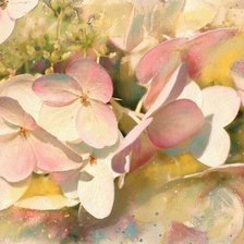 Схема вышивки «№170795»