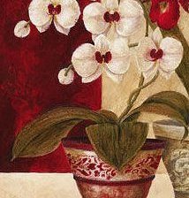 Схема вышивки «№170922»