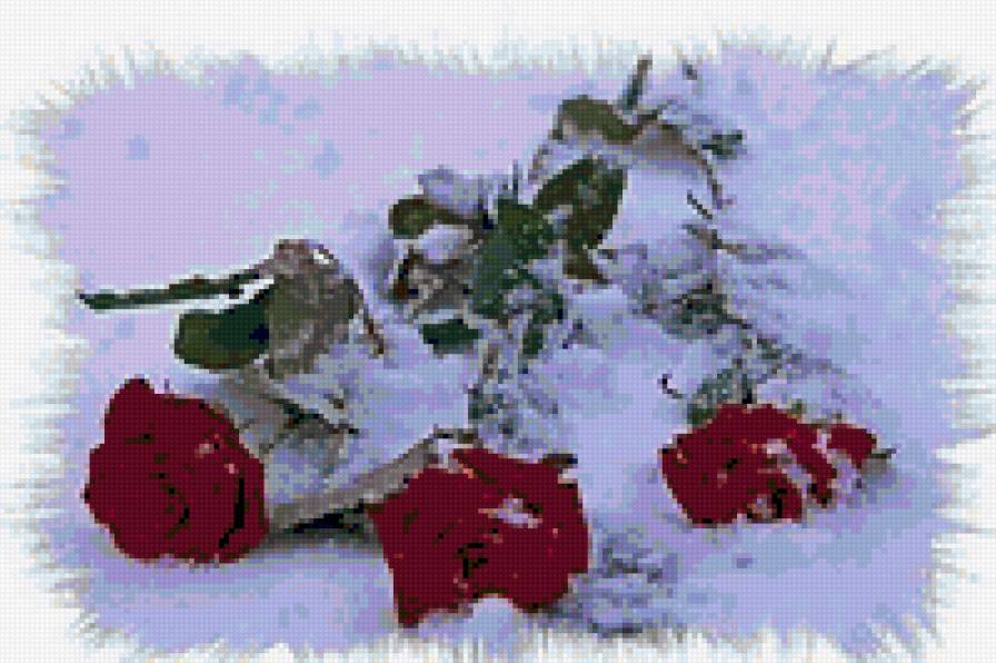 розовый рай - предпросмотр