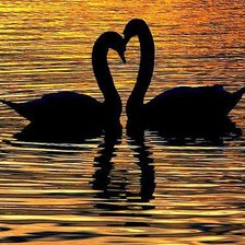 Схема вышивки «лебединая пара»