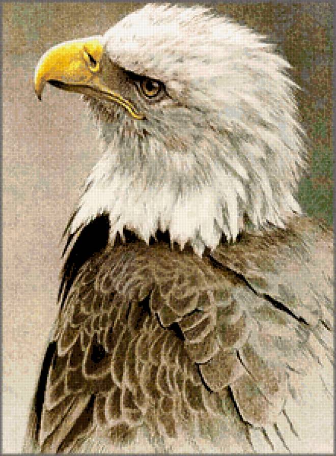 Серия "Птицы" - птицы, орлы - предпросмотр