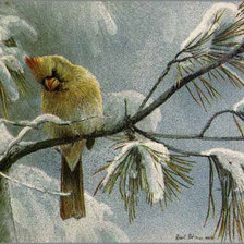 Схема вышивки «Серия "Птицы"»