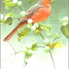 Схема вышивки «Серия "Птицы"»