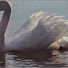 Схема вышивки «Серия "Птицы"»