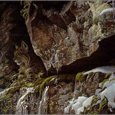 Схема вышивки «Серия "Большие кошки"»