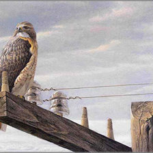 Схема вышивки «Серия "Птицы"»