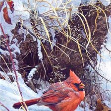 Схема вышивки «Серия "Птицы"»