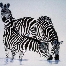 Схема вышивки «Водопой»