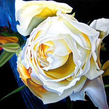 Схема вышивки «№171159»