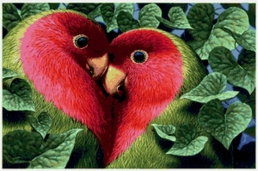 попугайчики - сердце, птицы - предпросмотр