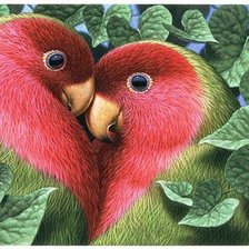 Схема вышивки «попугайчики»