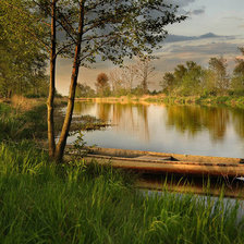 Схема вышивки «у реки»