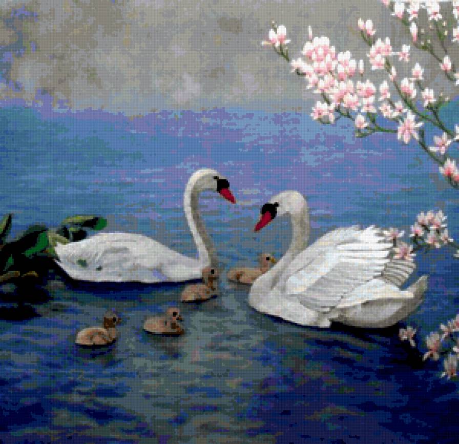 Лебединая семья - природа, озеро, картина, лебеди, любовь - предпросмотр