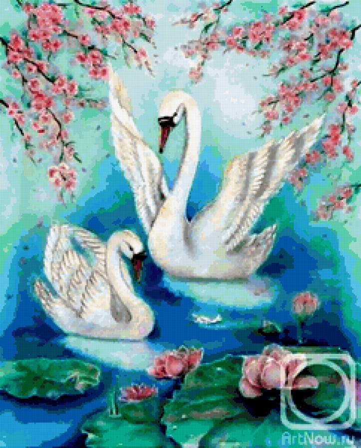 Пара лебедей - природа, картина, цветы, озеро, лебеди, любовь - предпросмотр