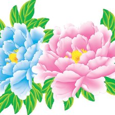 Схема вышивки «Пионы»