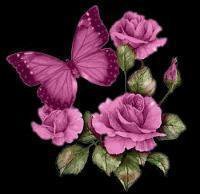 Схема вышивки «розы и бабочка»