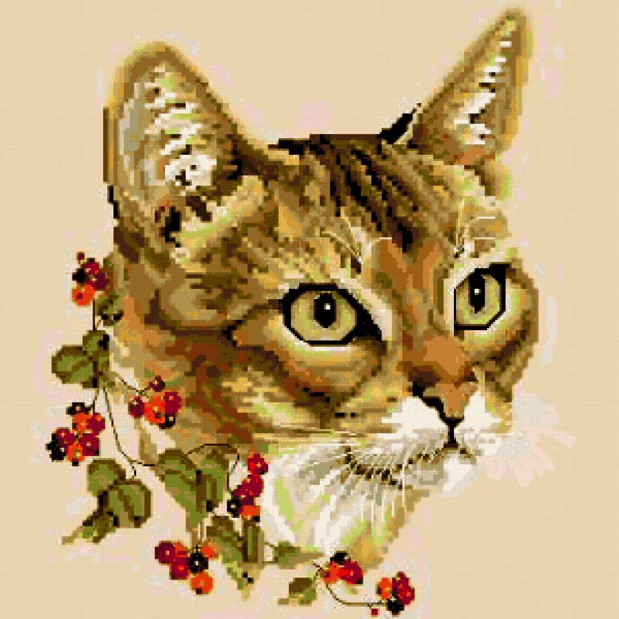 Кошка - кошки - предпросмотр