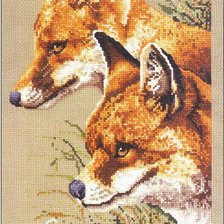 Схема вышивки «Лиса»