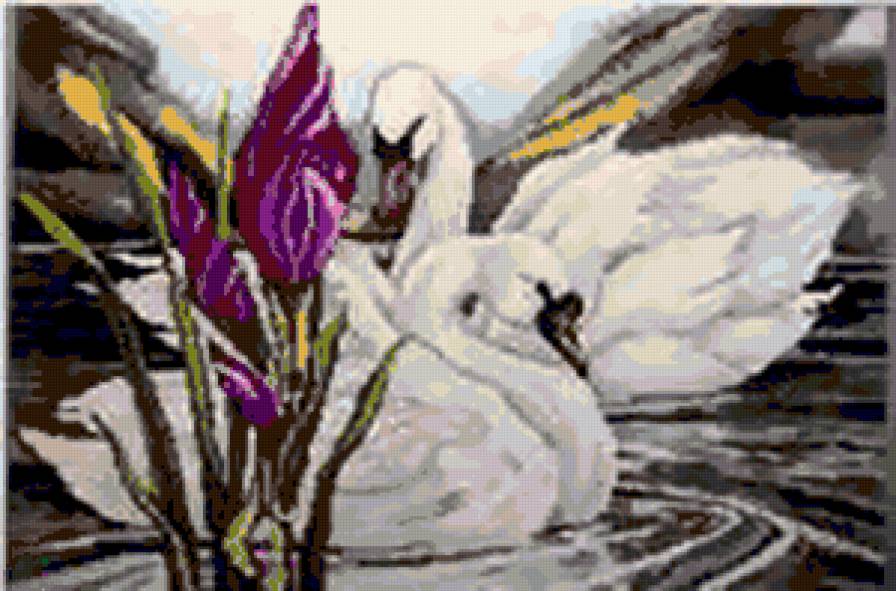 идеальная пара лебедей - лебеди - предпросмотр