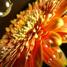 Схема вышивки «№171526»