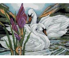 пара лебедей