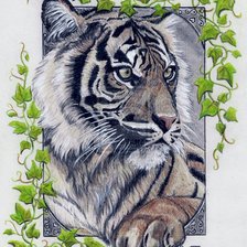 Схема вышивки «Тигр.»
