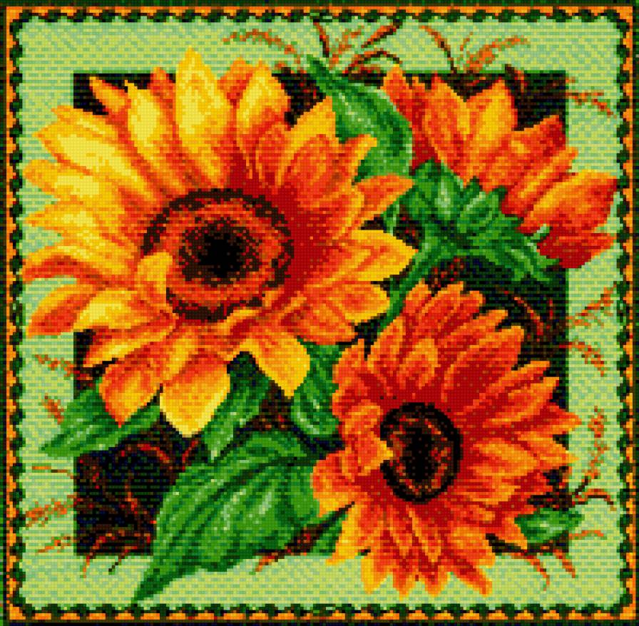 подсолнухи - предпросмотр