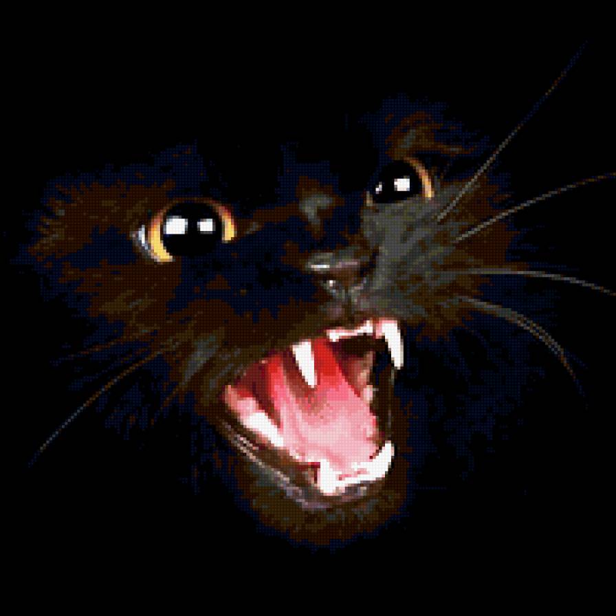 Кошка Шипелка На подушку - кот, подушка, кошка, животные, картинка, юмор, черный - предпросмотр