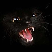 Схема вышивки «Кошка Шипелка На подушку»