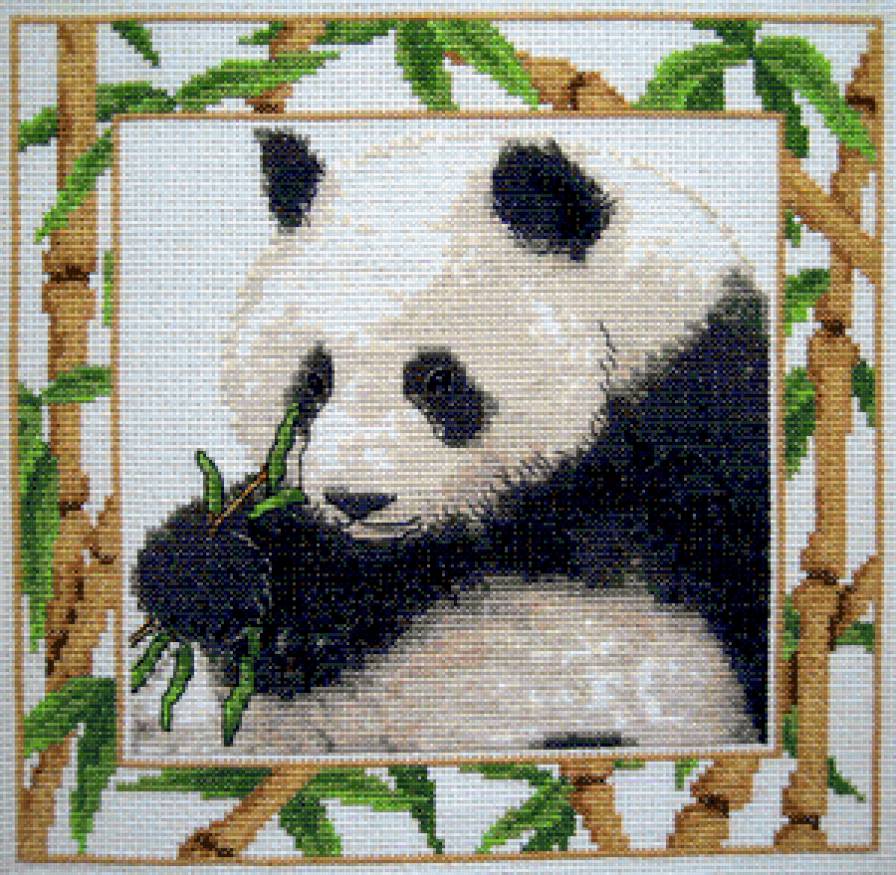 панда - панда, мишка - предпросмотр