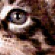 Предпросмотр схемы вышивки «Котенок ученый» (№171796)