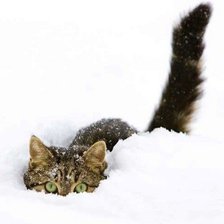 Схема вышивки «№171831»