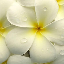 Схема вышивки «7866»