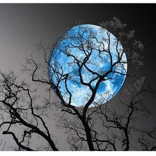 Схема вышивки «ночной пейзаж»