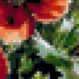 Предпросмотр схемы вышивки «летние краски» (№172169)
