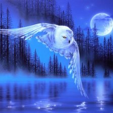 Схема вышивки «Сова»