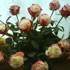 Схема вышивки «Розы»