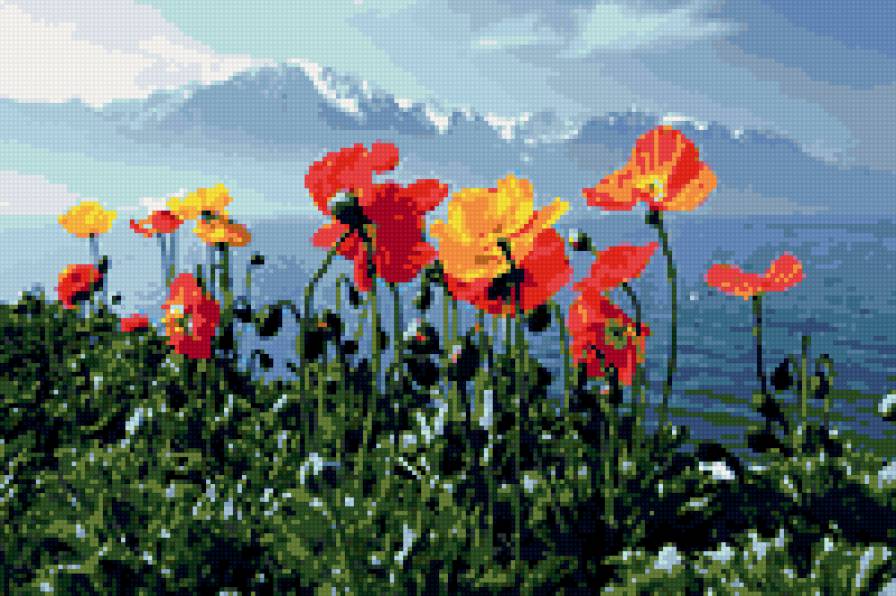 маки и море - горы, лето, цветы, море, вода, природа, красиво, маки, зелень - предпросмотр