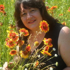 Схема вышивки «Утро в саду»