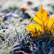 Схема вышивки «№172704»