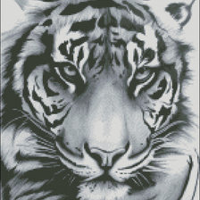 Схема вышивки «тигр»