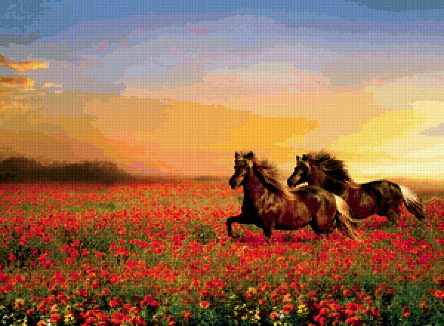 кони в поле - лошадь, поле, маки - предпросмотр