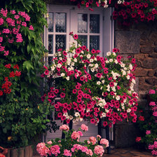 Схема вышивки «7867»