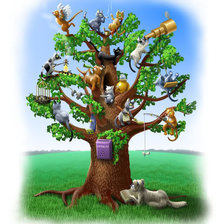 Схема вышивки «кошкин дом...»