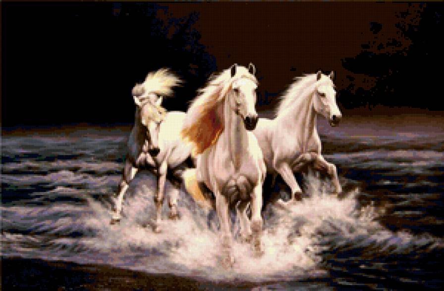 ночные кони - животные - предпросмотр