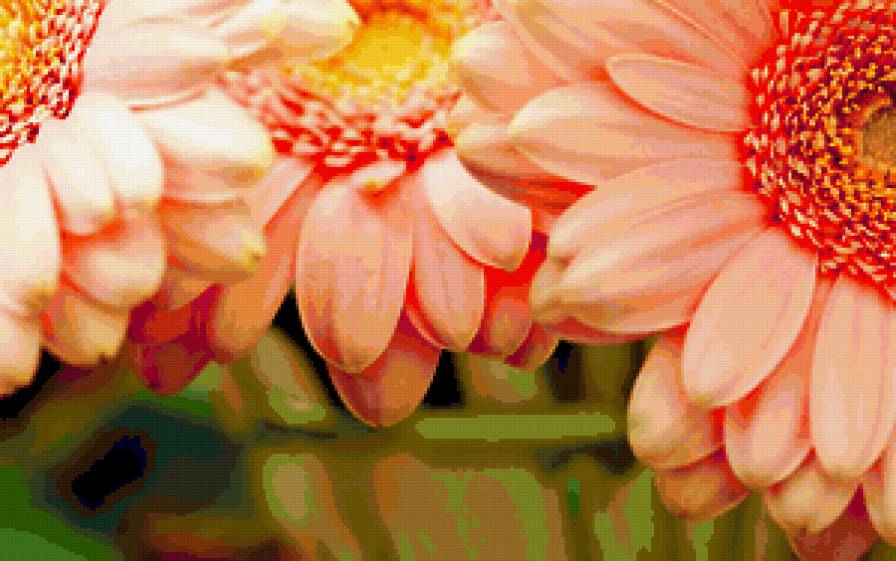 90097 - розы, цветок, букет, роза, flower, цветы - предпросмотр